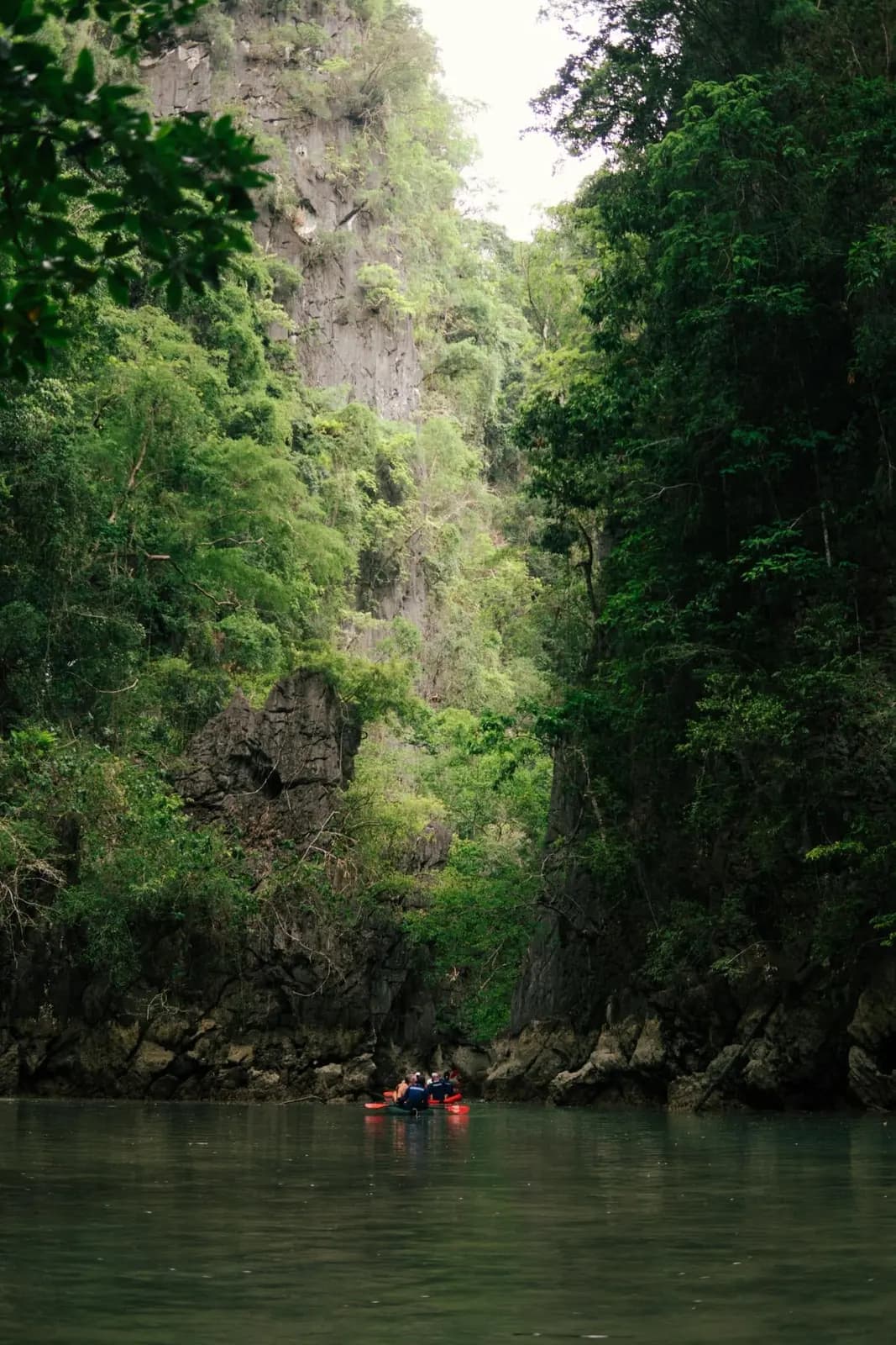 Canoes inside a narrow lagoon beneath high green cliffs